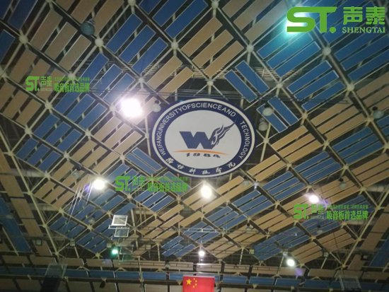 福建夢筆小學體育館工程案例(圖3) 福建夢筆小學體育館工程案例(圖3)